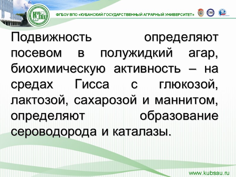 Подвижность определяют посевом в полужидкий агар, биохимическую активность – на средах Гисса с глюкозой,